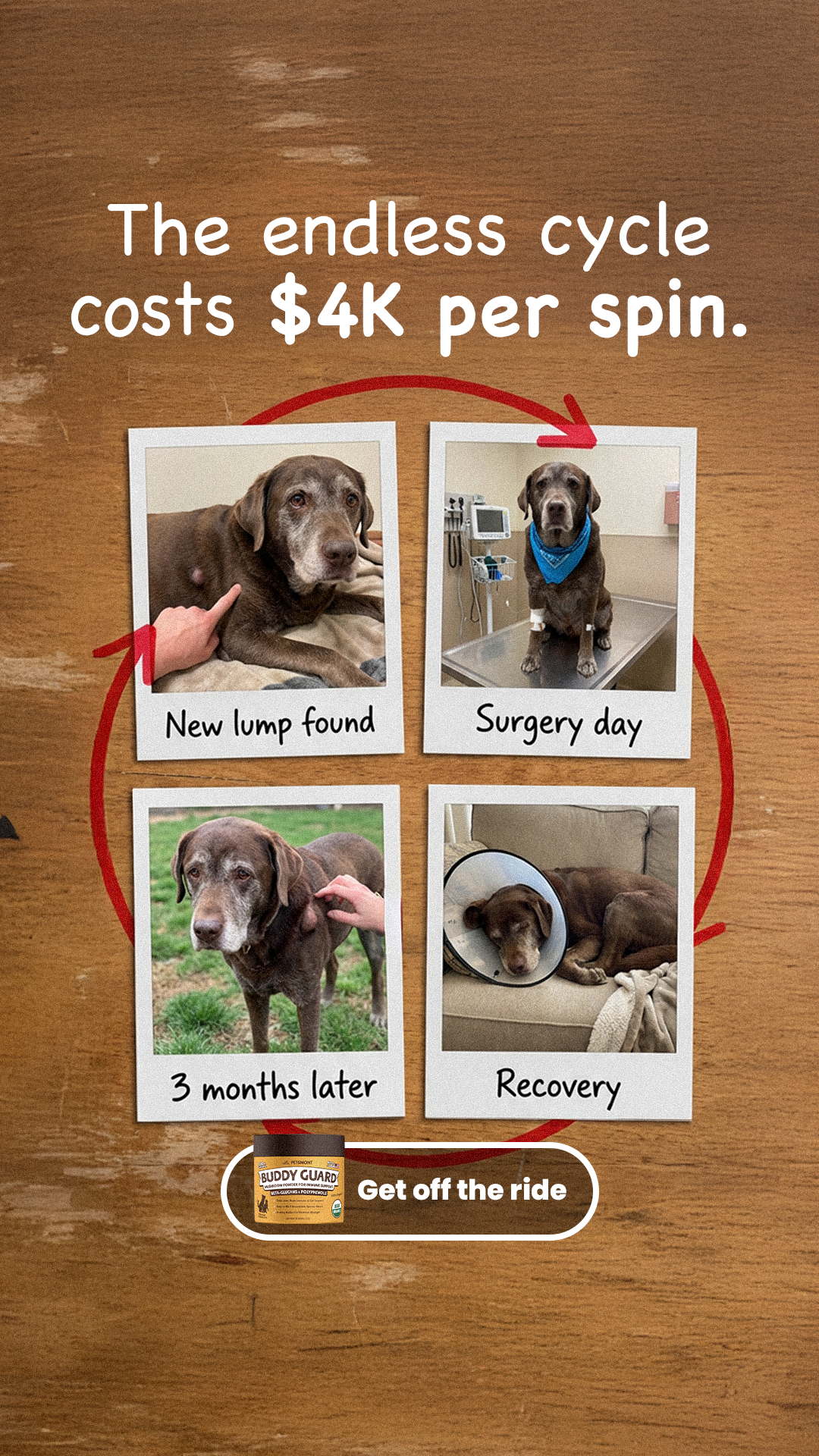Petsmont advertising creative